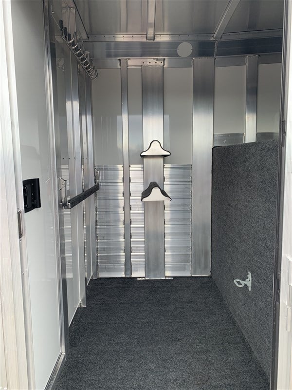 2024 4 Star 2+1 Warmblood 10 2024 4 Star 2+1 Warmblood - Image 10