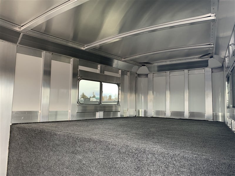 2024 4 Star 2+1 Warmblood 12 2024 4 Star 2+1 Warmblood - Image 12