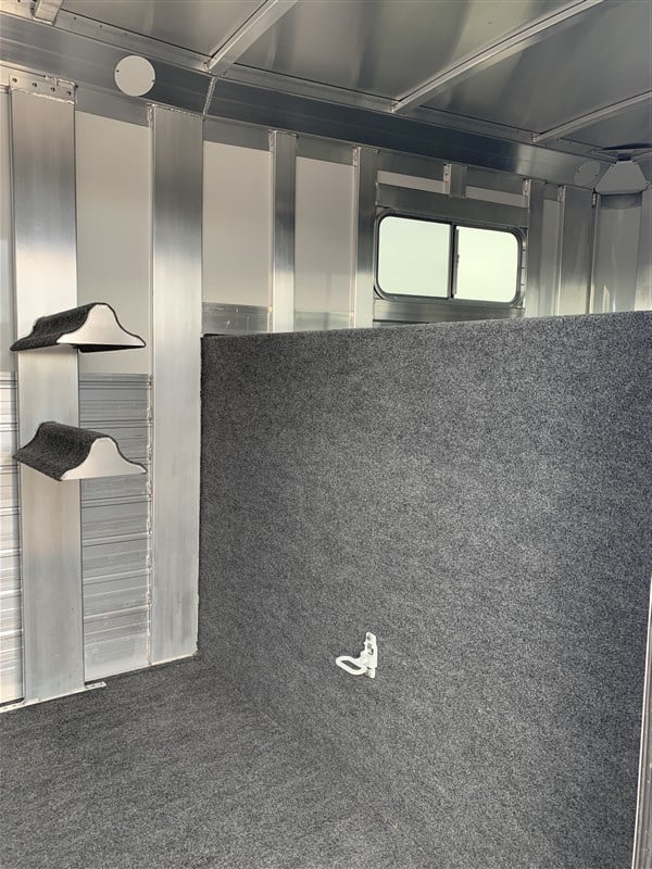 2024 4 Star 2+1 Warmblood 13 2024 4 Star 2+1 Warmblood - Image 13