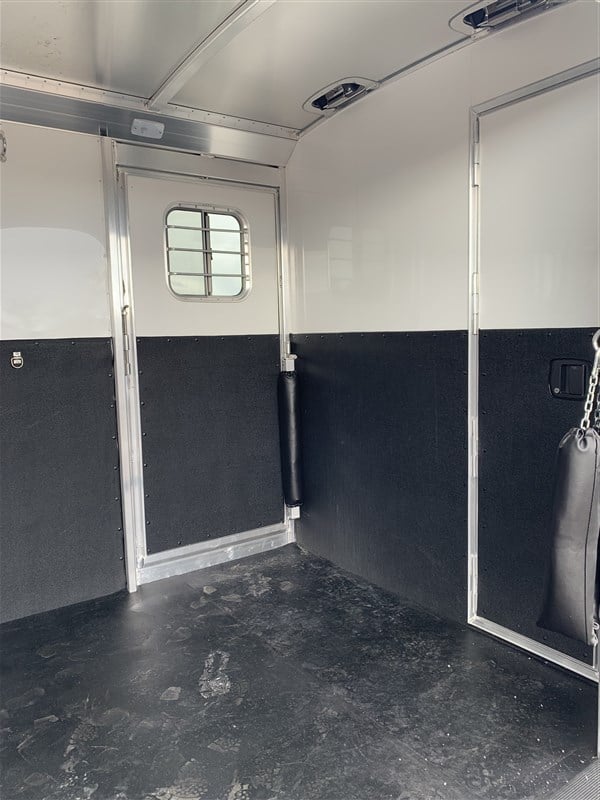 2024 4 Star 2+1 Warmblood 14 2024 4 Star 2+1 Warmblood - Image 14