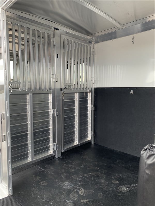 2024 4 Star 2+1 Warmblood 15 2024 4 Star 2+1 Warmblood - Image 15