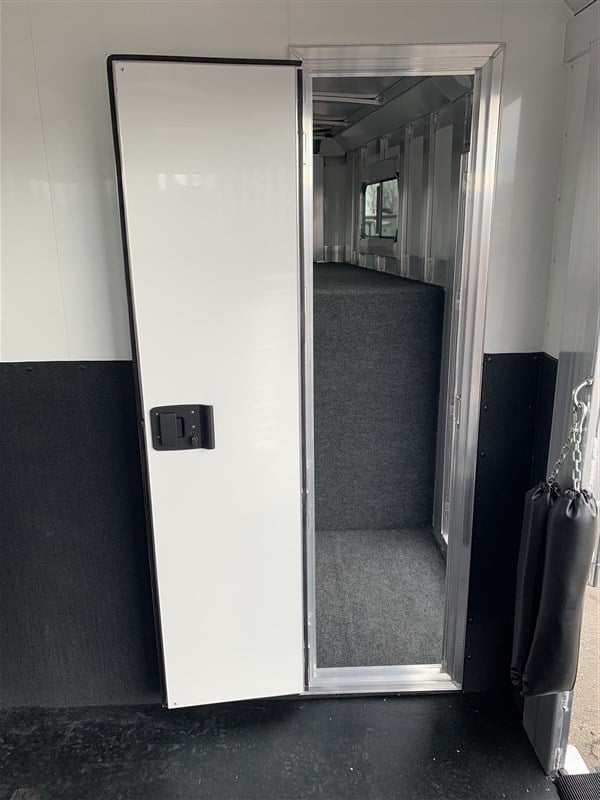 2024 4 Star 2+1 Warmblood 16 2024 4 Star 2+1 Warmblood - Image 16