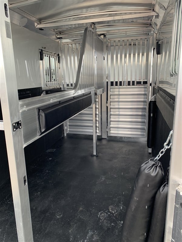 2024 4 Star 2+1 Warmblood 18 2024 4 Star 2+1 Warmblood - Image 18