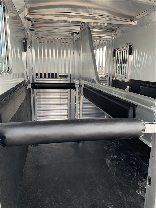 2024 4 Star 2+1 Warmblood 19 2024 4 Star 2+1 Warmblood - Image 19