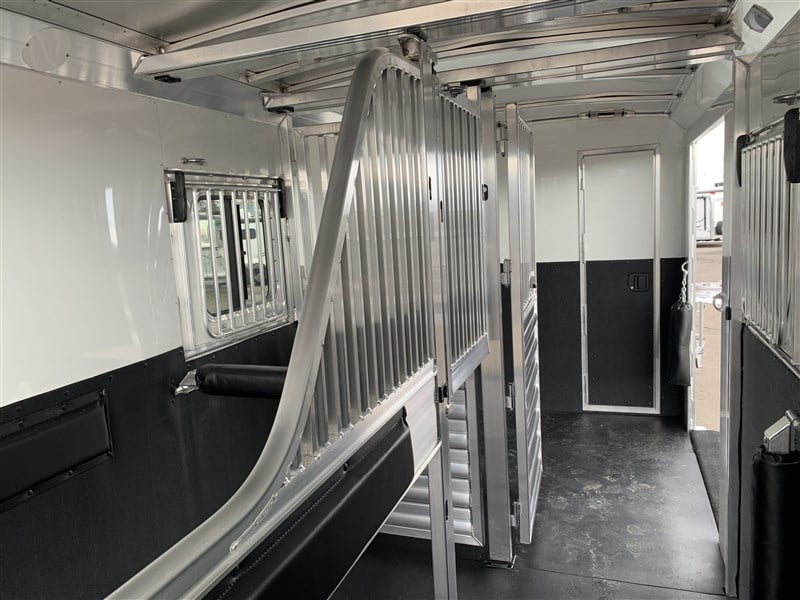 2024 4 Star 2+1 Warmblood 20 2024 4 Star 2+1 Warmblood - Image 20