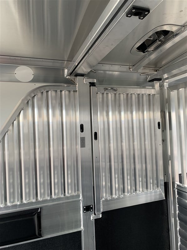 2024 4 Star 2+1 Warmblood 23 2024 4 Star 2+1 Warmblood - Image 23